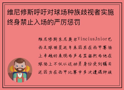 维尼修斯呼吁对球场种族歧视者实施终身禁止入场的严厉惩罚